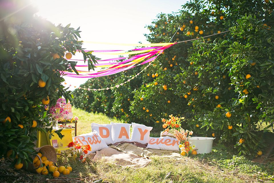 Runaway Romance Orange Orchard Engagement Shoot